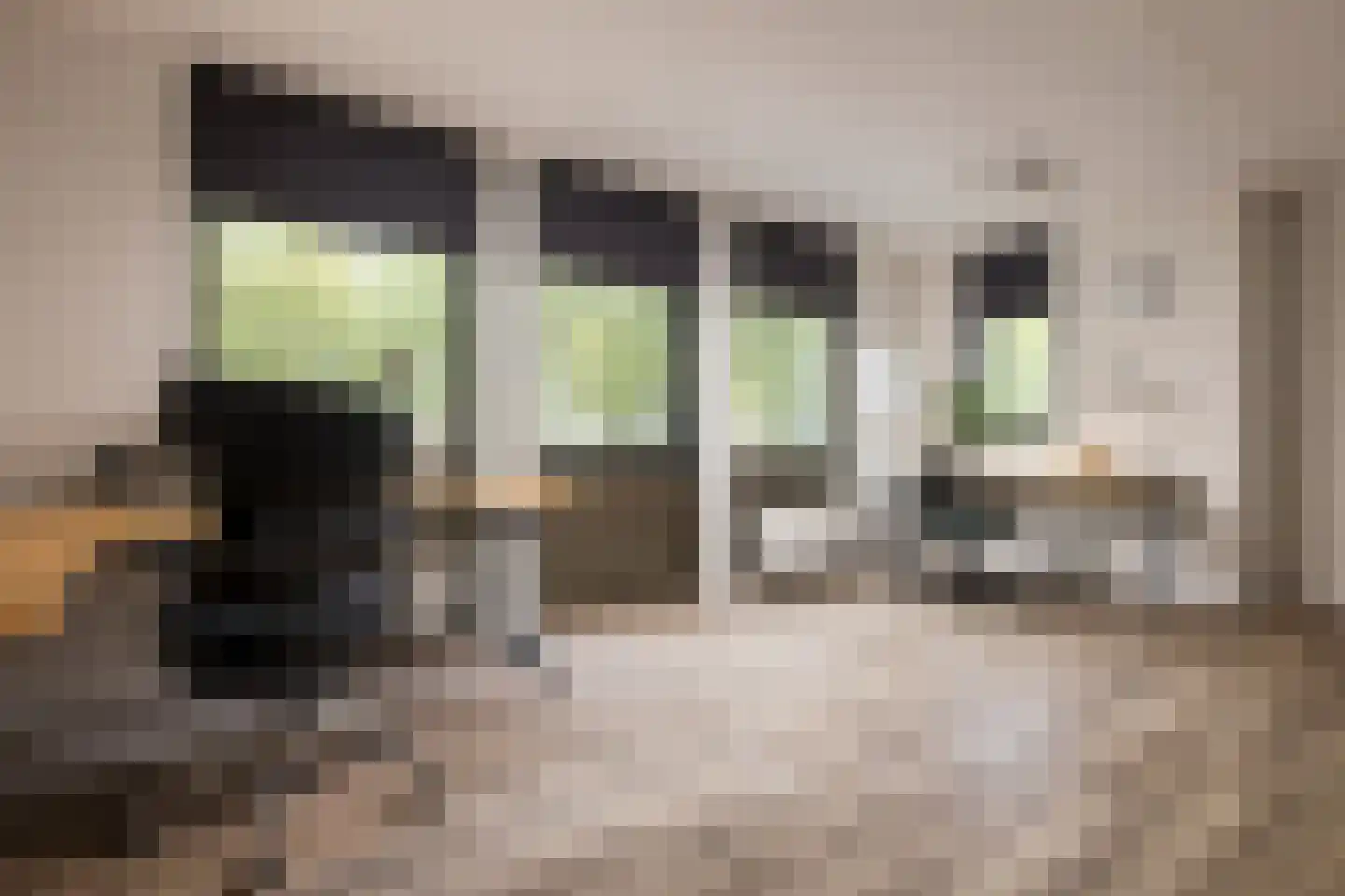 Engelenbeemden 2 Helmond thumbnail 34