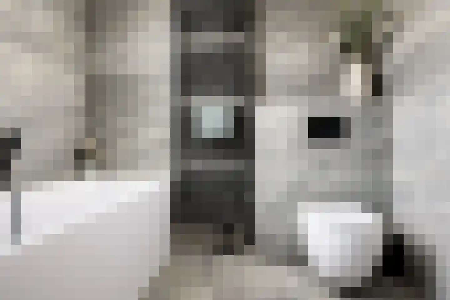 Engelenbeemden 2 Helmond thumbnail 49