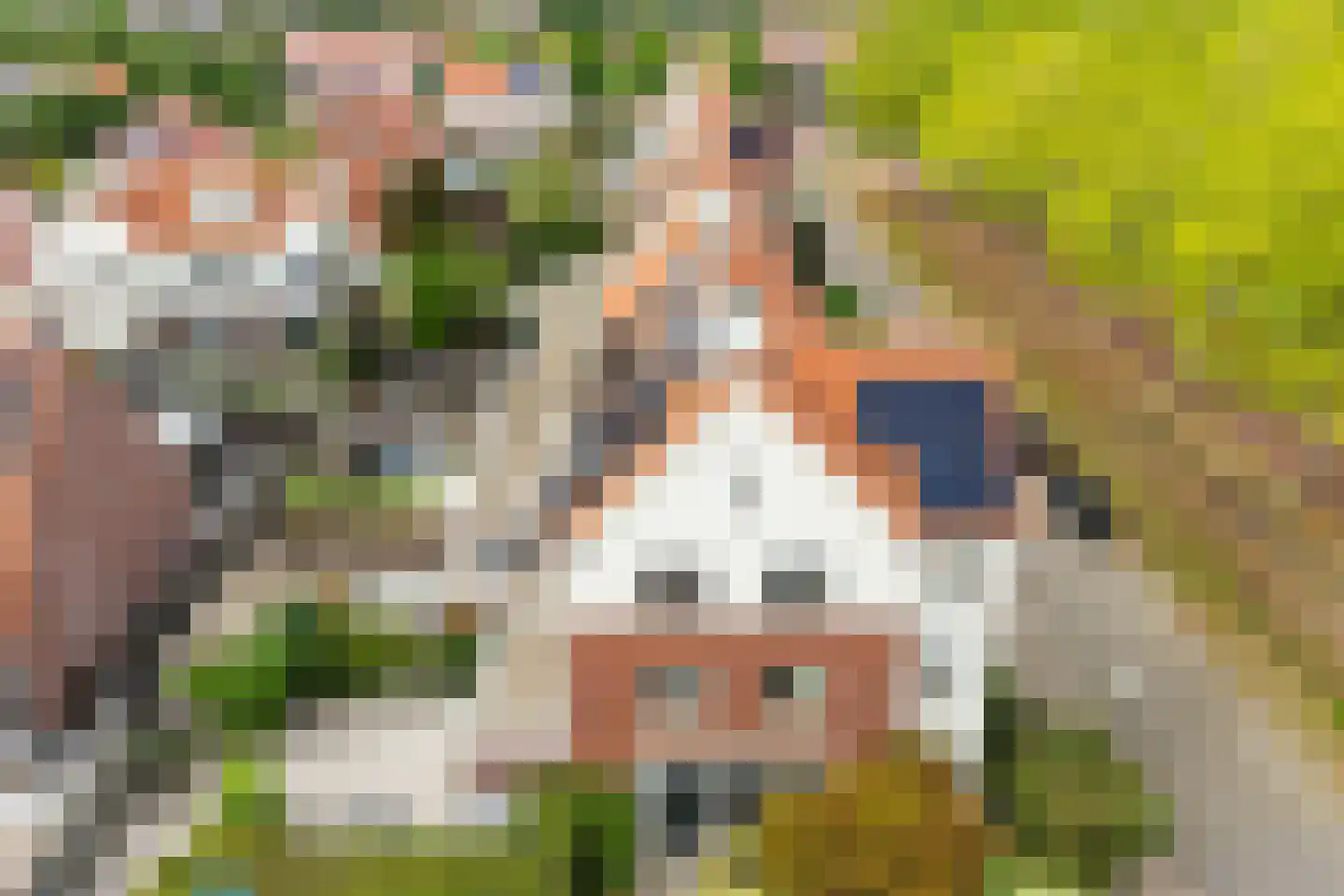 Engelenbeemden 2 Helmond thumbnail 60