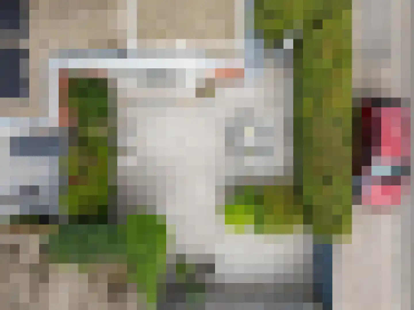 Engelenbeemden 2 Helmond thumbnail 7