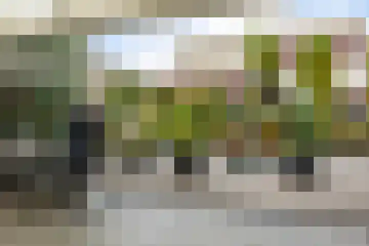 Engelenboom 2 Horn thumbnail 35