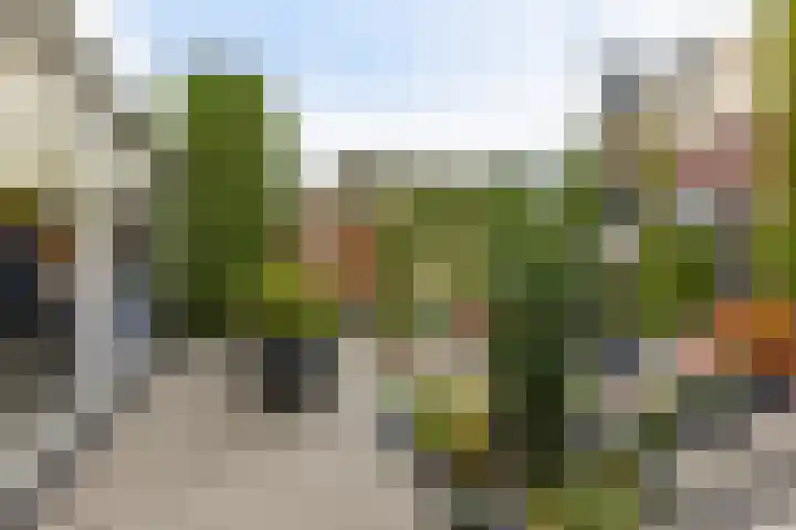 Engelenboom 2 Horn thumbnail 37