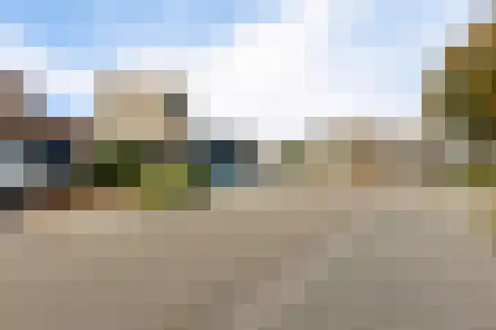 Engelenboom 2 Horn thumbnail 42