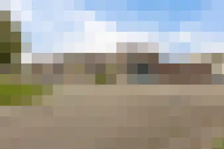 Engelenboom 2 Horn thumbnail 44