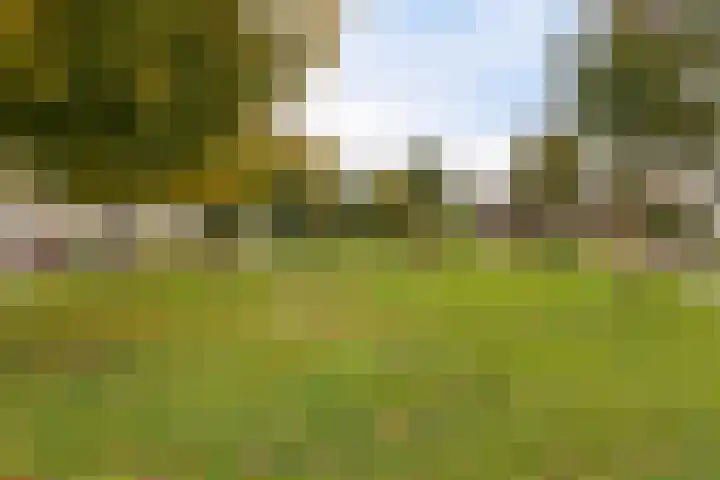 Engelenboom 2 Horn thumbnail 46