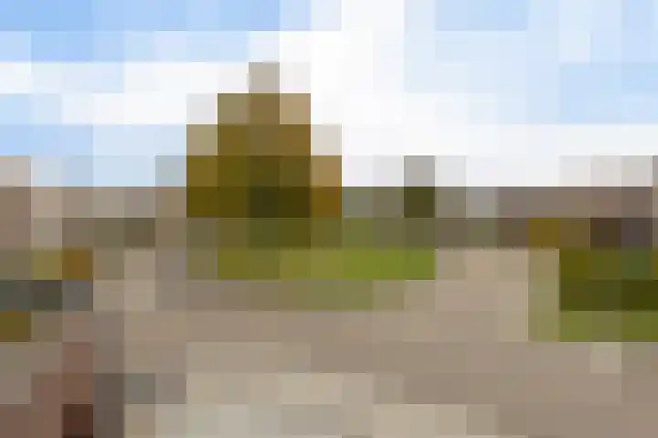 Engelenboom 2 Horn thumbnail 47