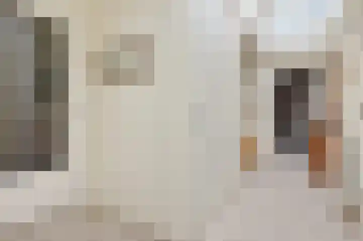 Engelenboom 2 Horn thumbnail 6