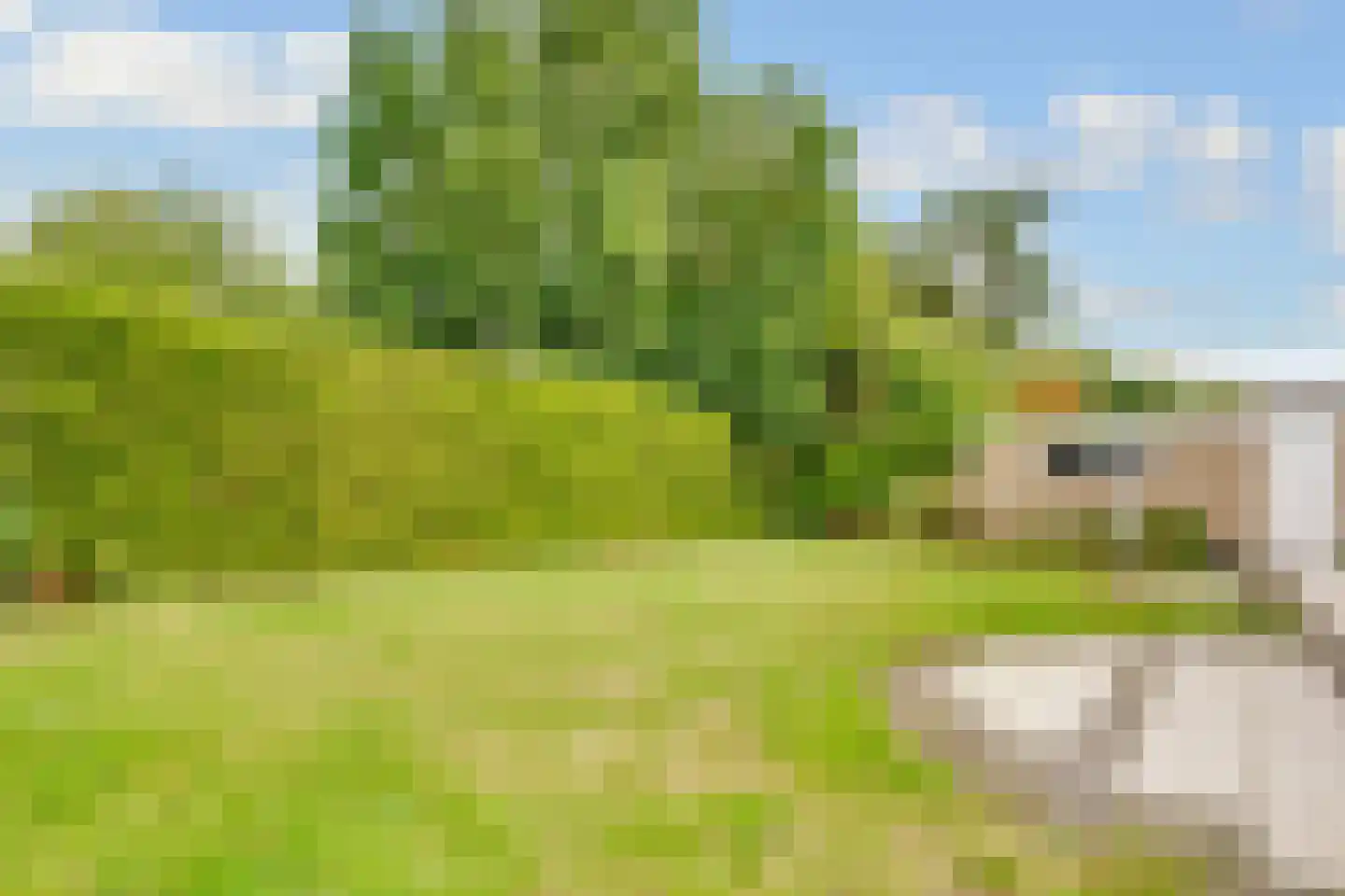 Engelenburg 12 Driebergen-Rijsenburg thumbnail 31