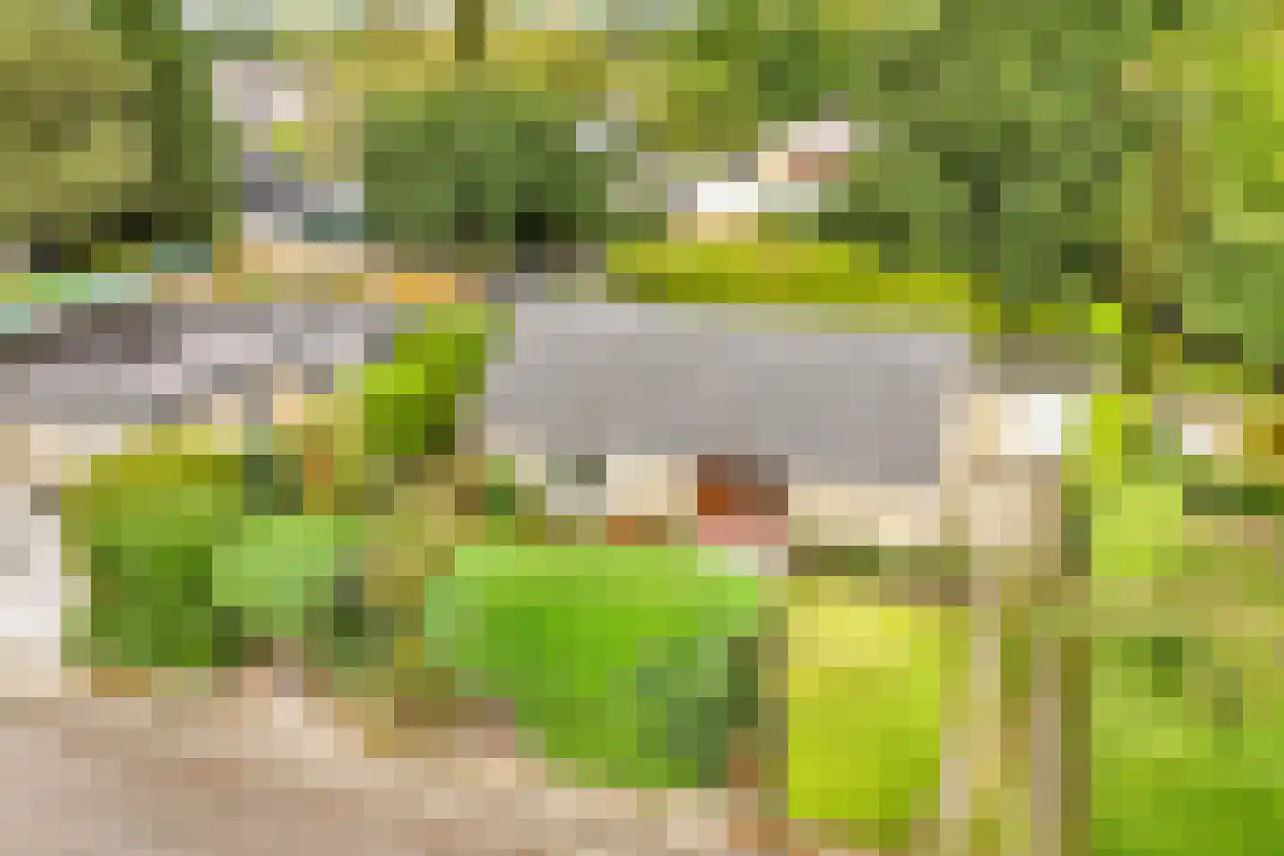 Engelenburg 12 Driebergen-Rijsenburg thumbnail 32