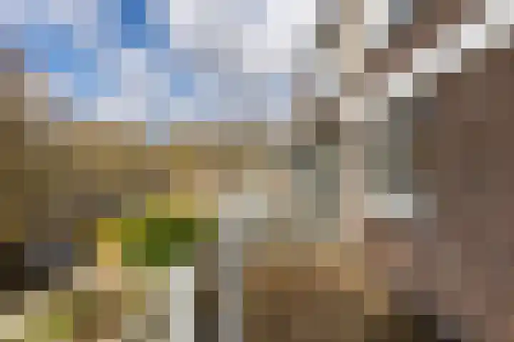 Engelenburg 124 Haarlem thumbnail 21