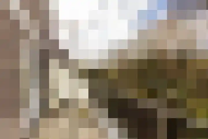 Engelenburg 124 Haarlem thumbnail 22