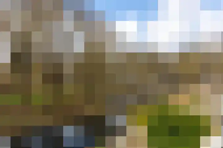 Engelenburg 124 Haarlem thumbnail 23
