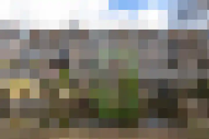 Engelenburg 124 Haarlem thumbnail 24
