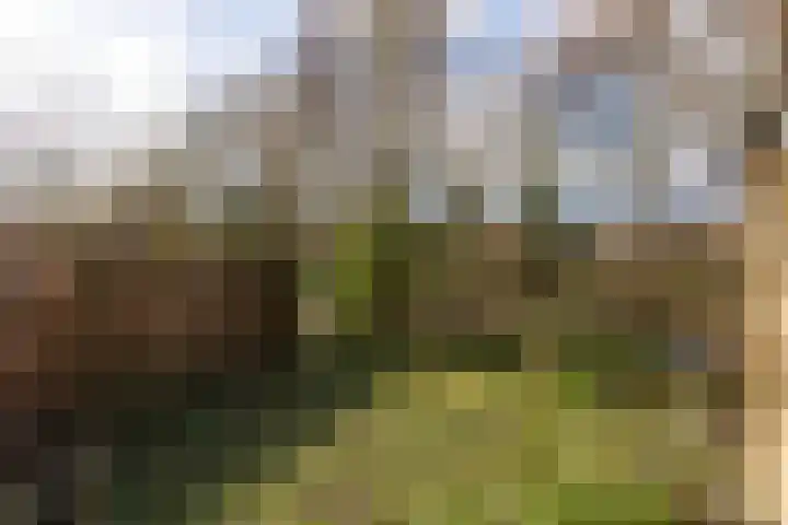 Engelenburg 124 Haarlem thumbnail 26