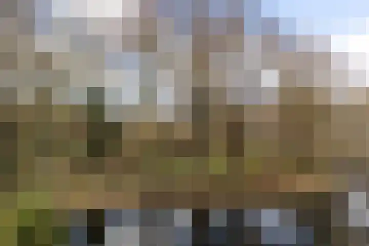 Engelenburg 124 Haarlem thumbnail 28