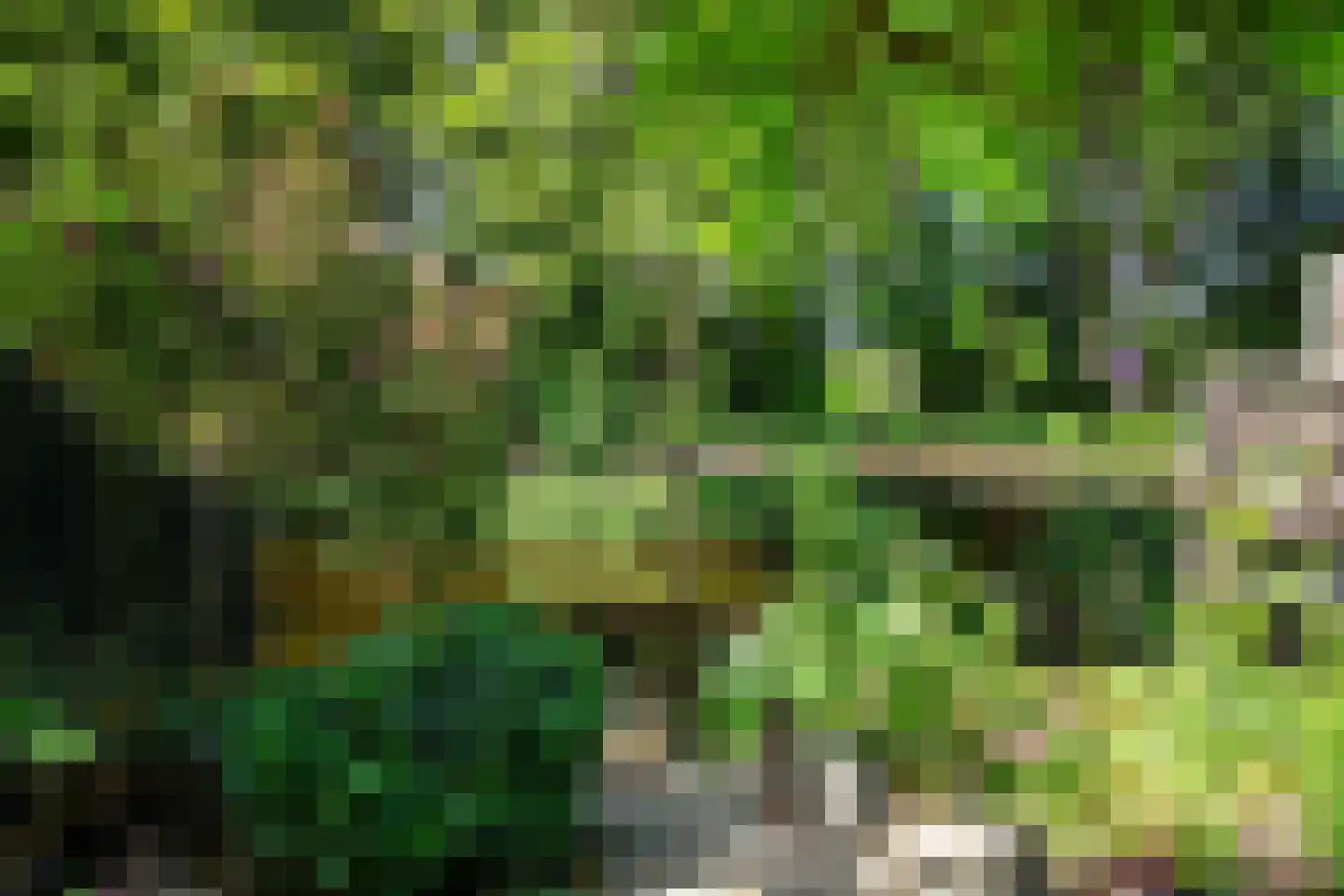Engelenburg 128 Haarlem thumbnail 32