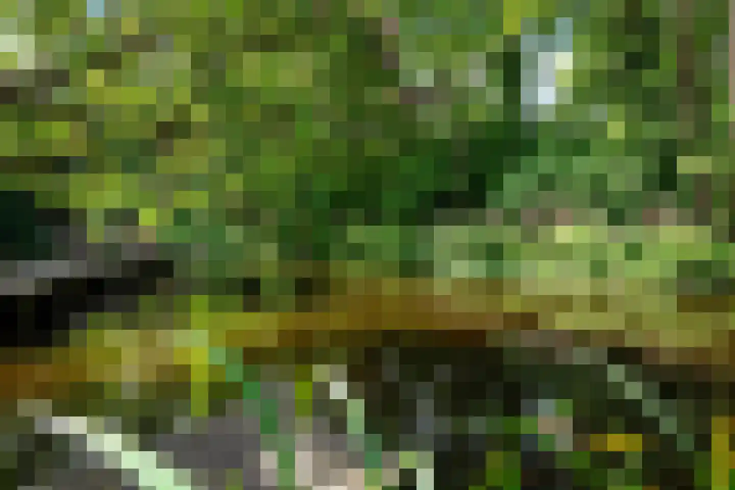 Engelenburg 128 Haarlem thumbnail 33