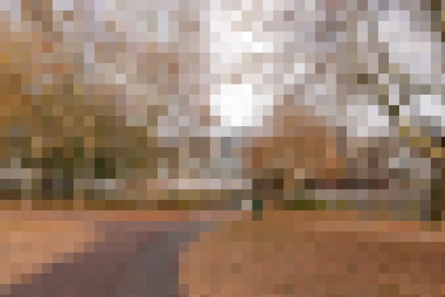 Engelenburg 135 Haarlem thumbnail 31