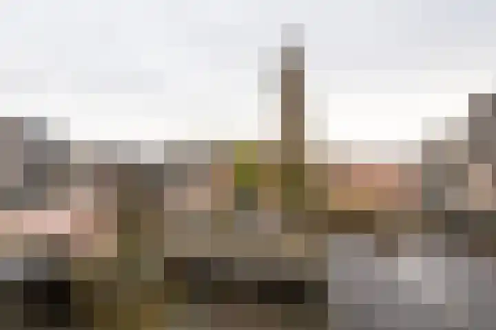 Engelenburg 15 Haarlem thumbnail 18