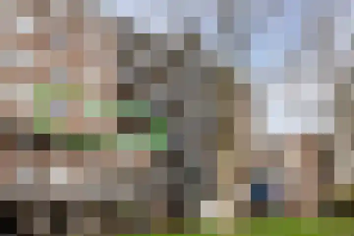 Engelenburg 15 Haarlem thumbnail 21