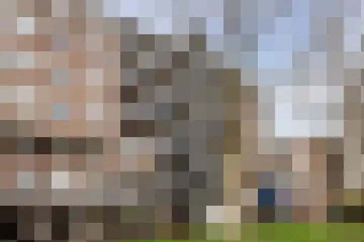 Engelenburg 15 Haarlem thumbnail 22