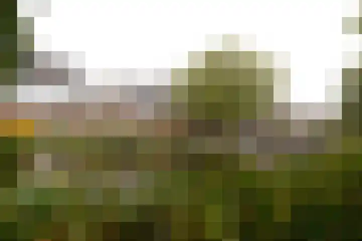 Engelenburg 15 Haarlem thumbnail 24