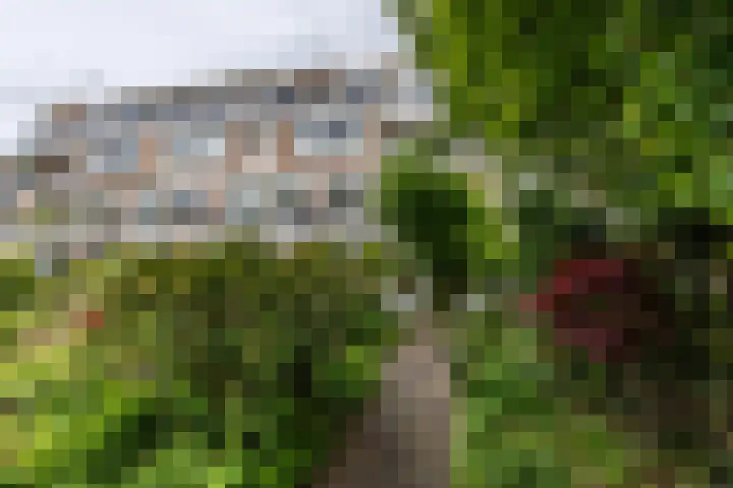 Engelenburg 188 Haarlem thumbnail 27