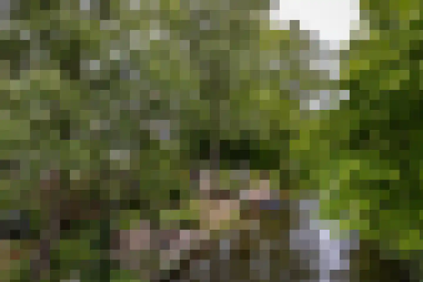 Engelenburg 188 Haarlem thumbnail 32
