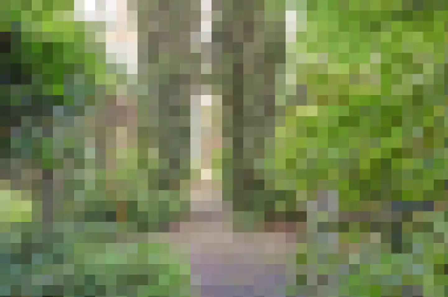 Engelenburg 206 Haarlem thumbnail 24