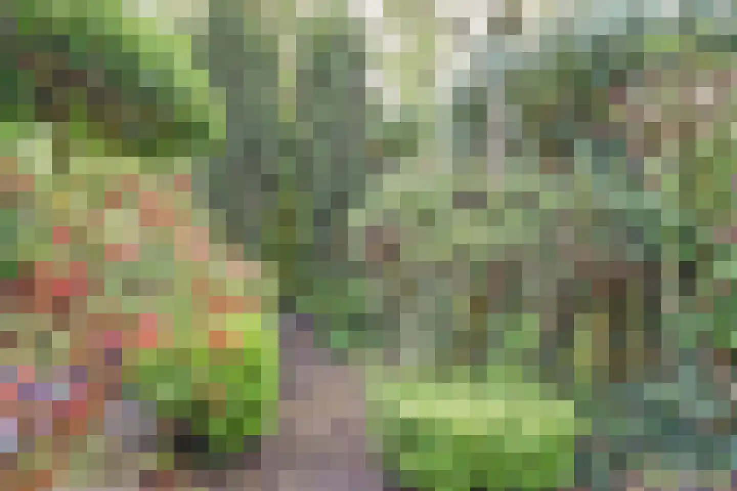 Engelenburg 206 Haarlem thumbnail 29