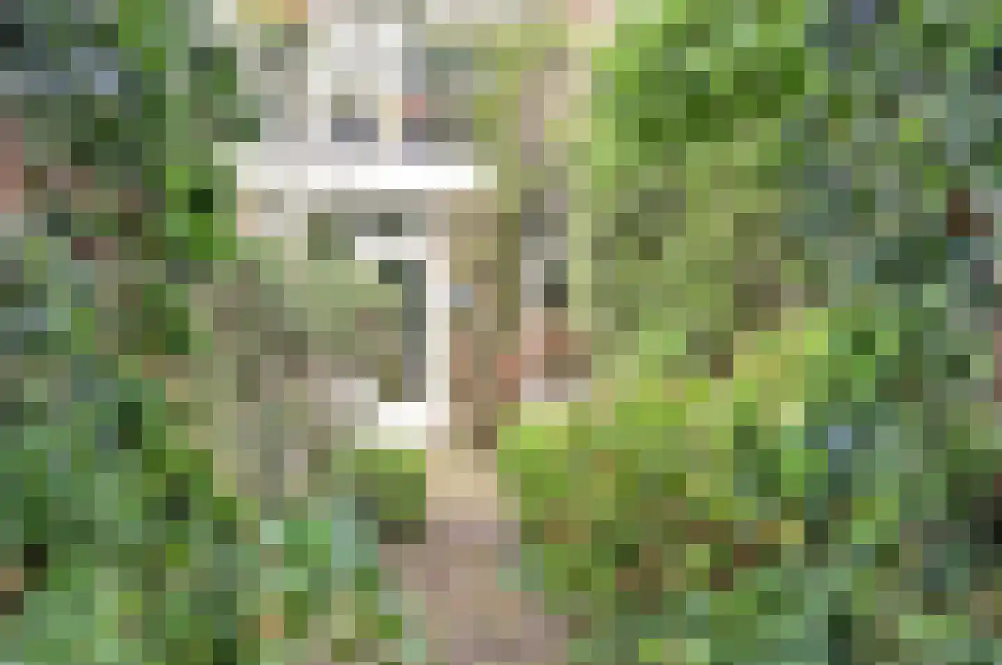 Engelenburg 206 Haarlem thumbnail 31