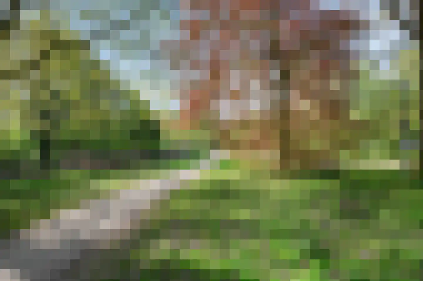 Engelenburg 283 Haarlem thumbnail 31