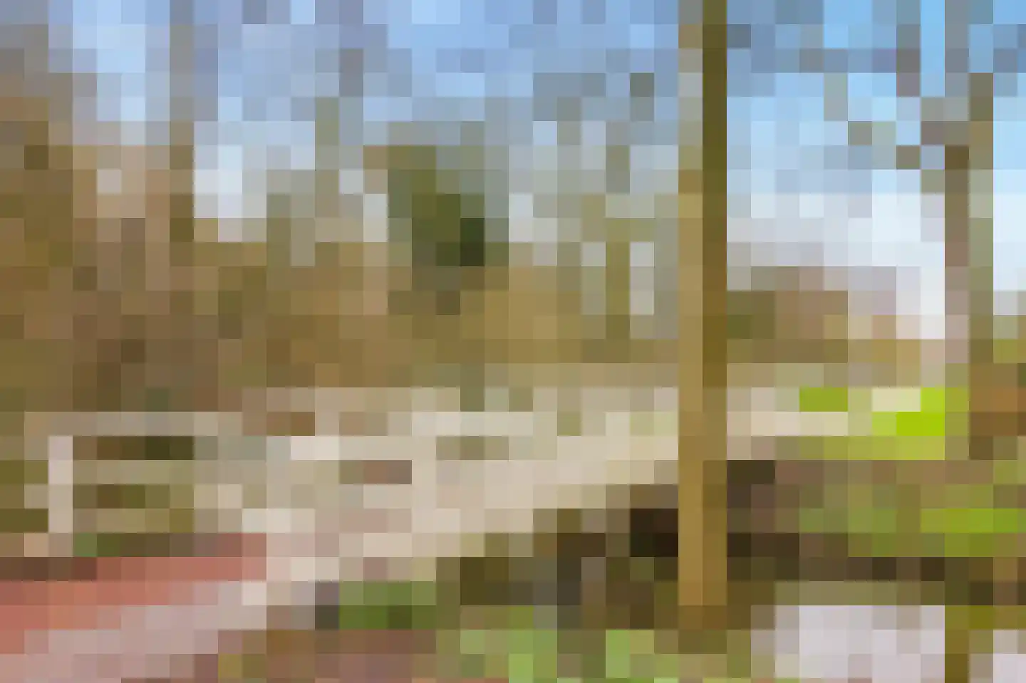 Engelenburg 303 Haarlem thumbnail 12