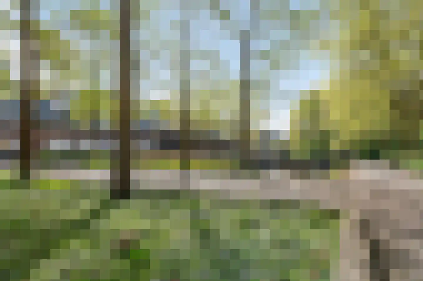 Engelenburg 343 Haarlem thumbnail 29