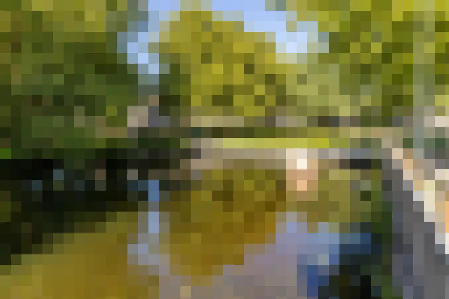 Engelenburg 349 Haarlem thumbnail 20