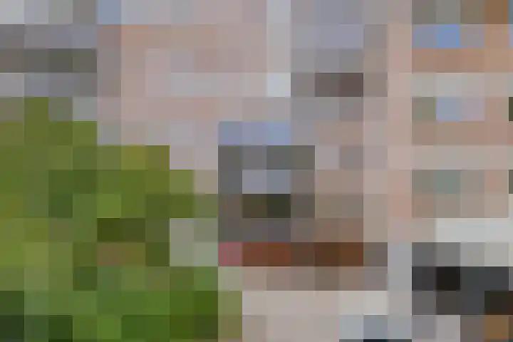 Engelenburg 363 Haarlem