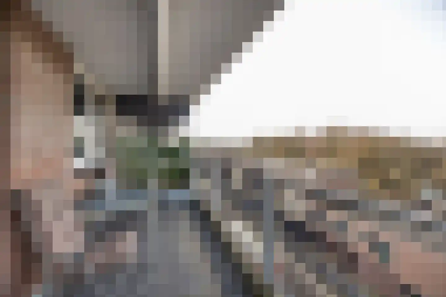 Engelenburg 395 Haarlem thumbnail 15