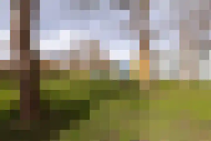 Engelenburg 395 Haarlem thumbnail 25