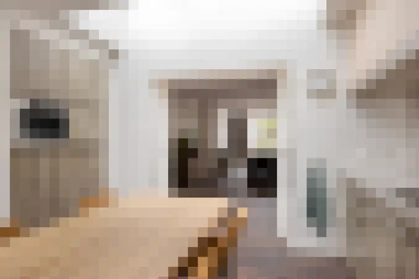 Engelenburg 4 Wintelre thumbnail 6