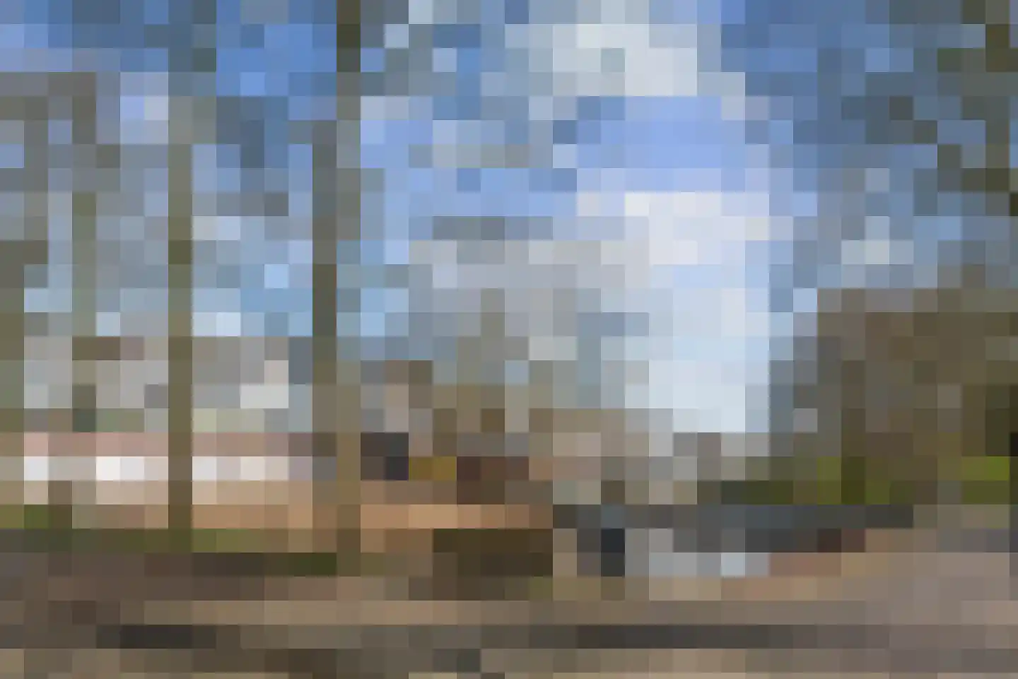 Engelenburg 5 Haarlem thumbnail 28