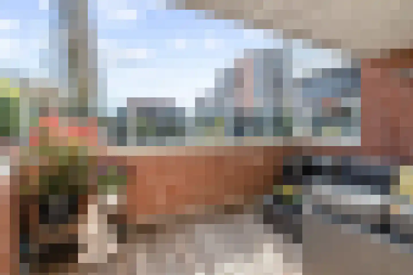 Engelenburg 5 Haarlem thumbnail 7