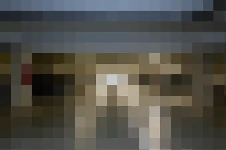 Engelenburg 6 Oegstgeest thumbnail 58