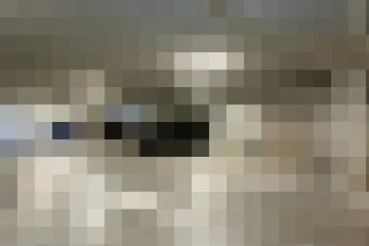 Engelenburg 6 Oegstgeest thumbnail 59