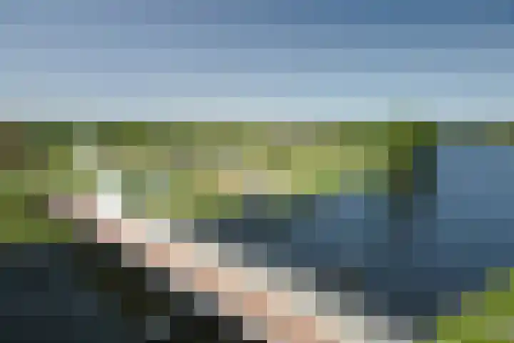 Engelenburg 6 Oegstgeest thumbnail 61