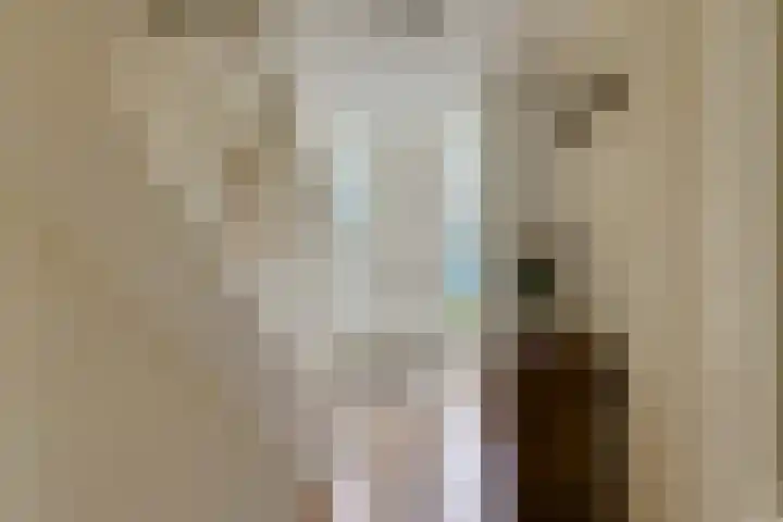 Engelenburgallee 16 Duiven thumbnail 10