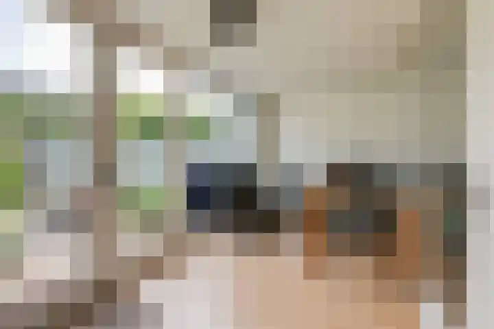 Engelenburgallee 16 Duiven thumbnail 21