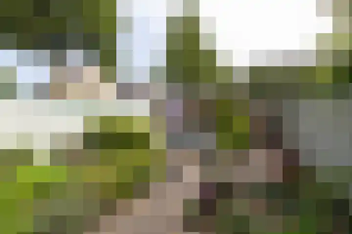 Engelenburgallee 16 Duiven thumbnail 4