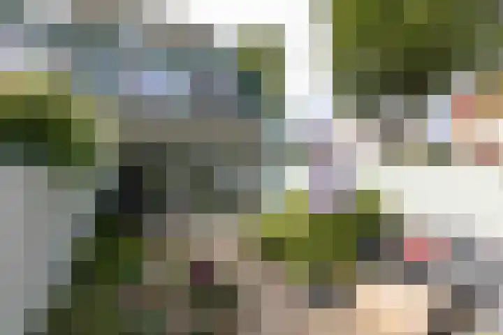 Engelenburgallee 16 Duiven thumbnail 51