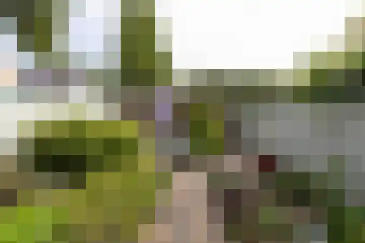 Engelenburgallee 16 Duiven thumbnail 53