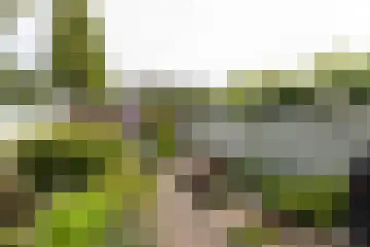 Engelenburgallee 16 Duiven thumbnail 54